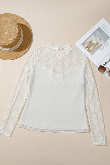 Lace Mesh Long Sleeve Top